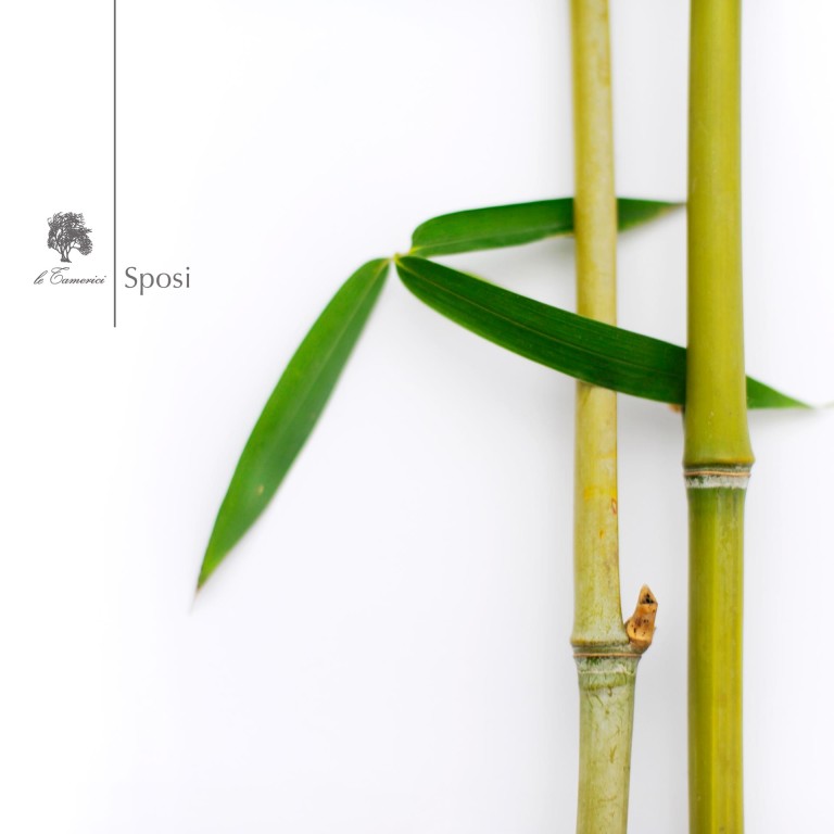Le Tamerici S.r.l. - Dove nasce il Gusto